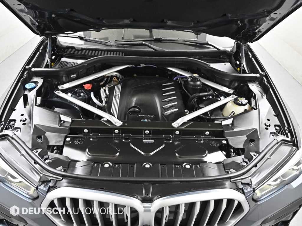 BMW X6 X6 (G06) xDrive 30d M 스포츠 이미지 6