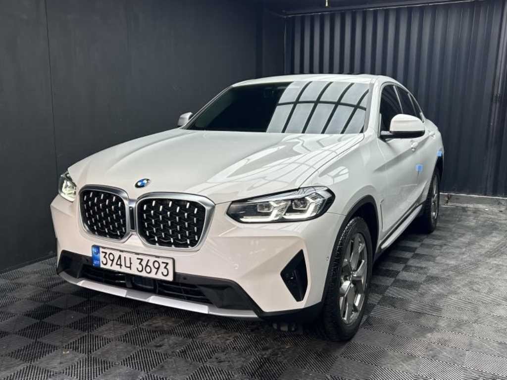 BMW X4 X4 (G02) xDrive 20i xLine 이미지 2