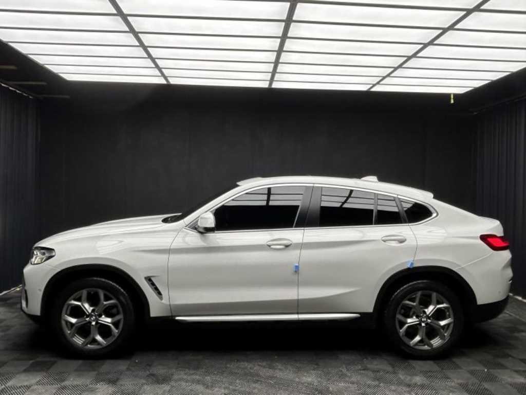 BMW X4 X4 (G02) xDrive 20i xLine 이미지 3