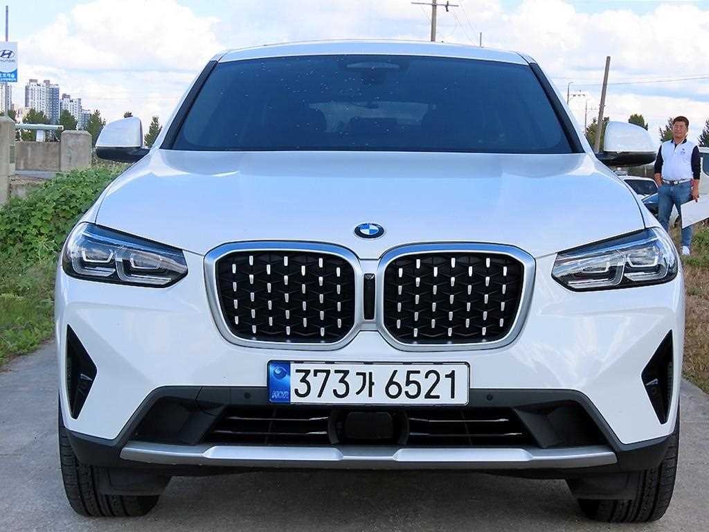 BMW X4 X4 (G02) xDrive 20i xLine 이미지 1