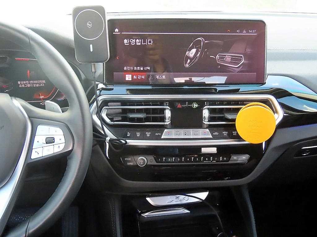 BMW X4 X4 (G02) xDrive 20i xLine 이미지 10