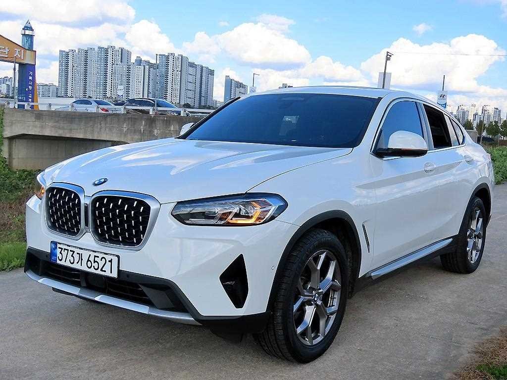 BMW X4 X4 (G02) xDrive 20i xLine 이미지 2