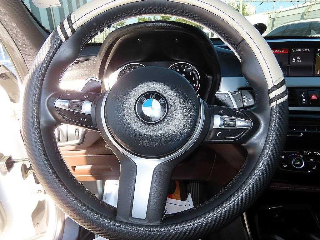 BMW X1 X1 (F48) xDrive 20i M 스포츠 이미지 8