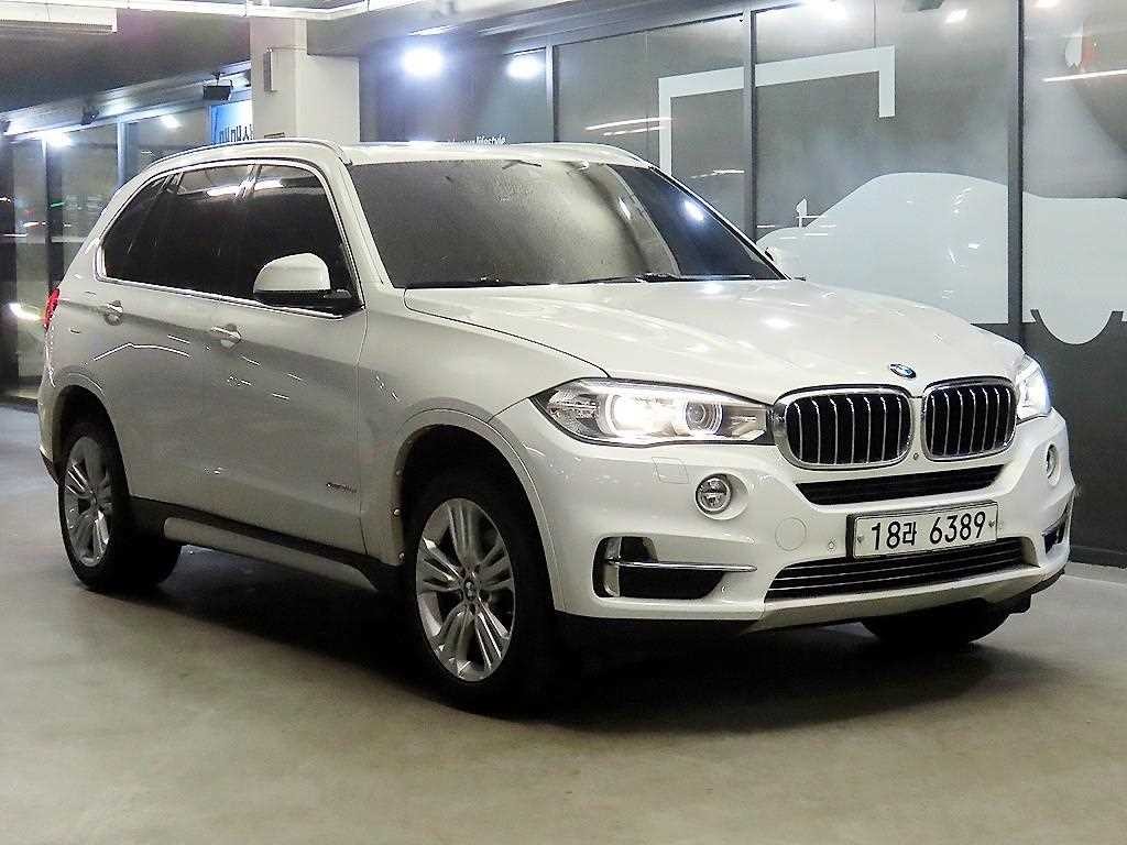 BMW X5 X5 (F15) xDrive 30d 이미지 1