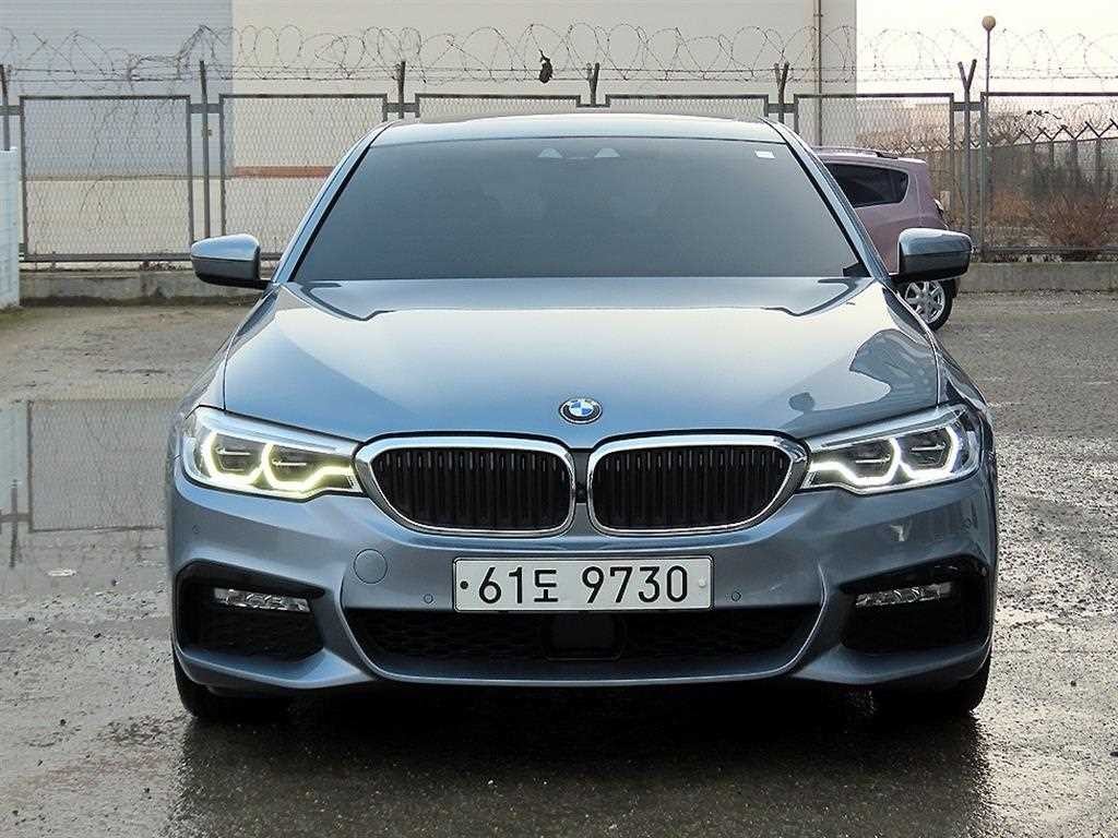 BMW 5시리즈 5시리즈 (G30) 530i M 스포츠 플러스 이미지 1