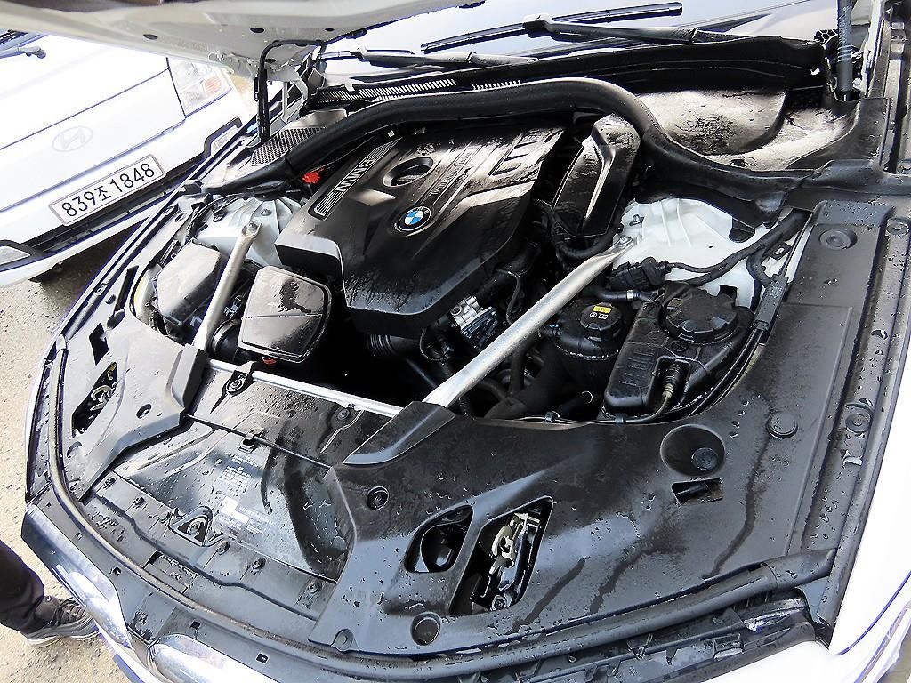 BMW 5시리즈 5시리즈 (G30) 530i xDrive 럭셔리 플러스 이미지 19