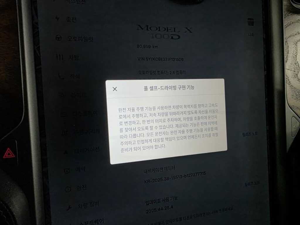 테슬라 모델 X 100D 이미지 10