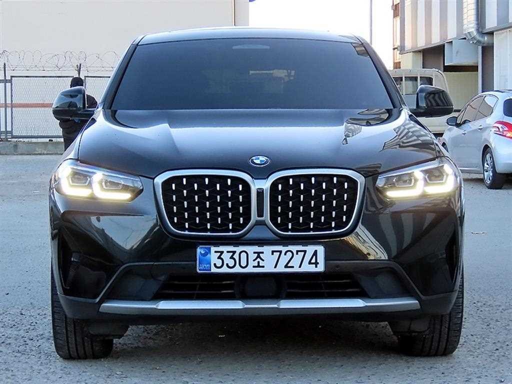 BMW X4 X4 (G02) xDrive 20d xLine 이미지 1