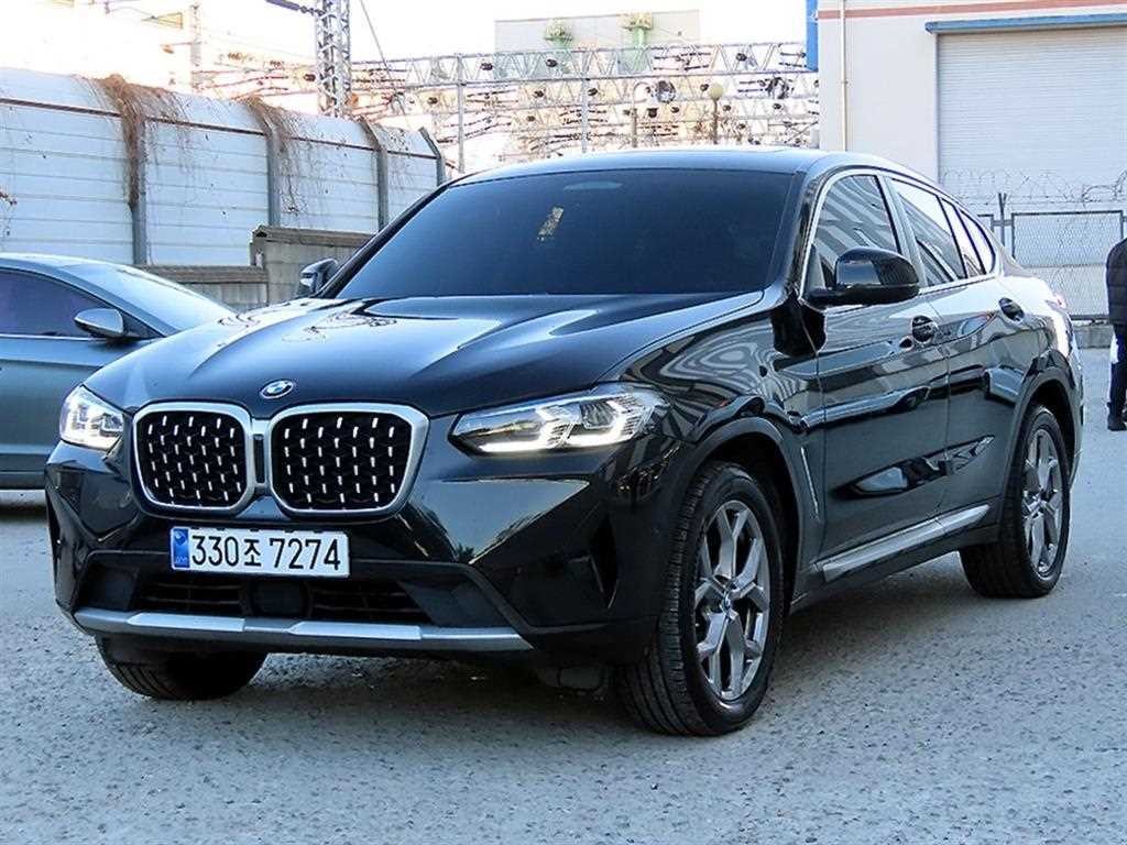 BMW X4 X4 (G02) xDrive 20d xLine 이미지 2