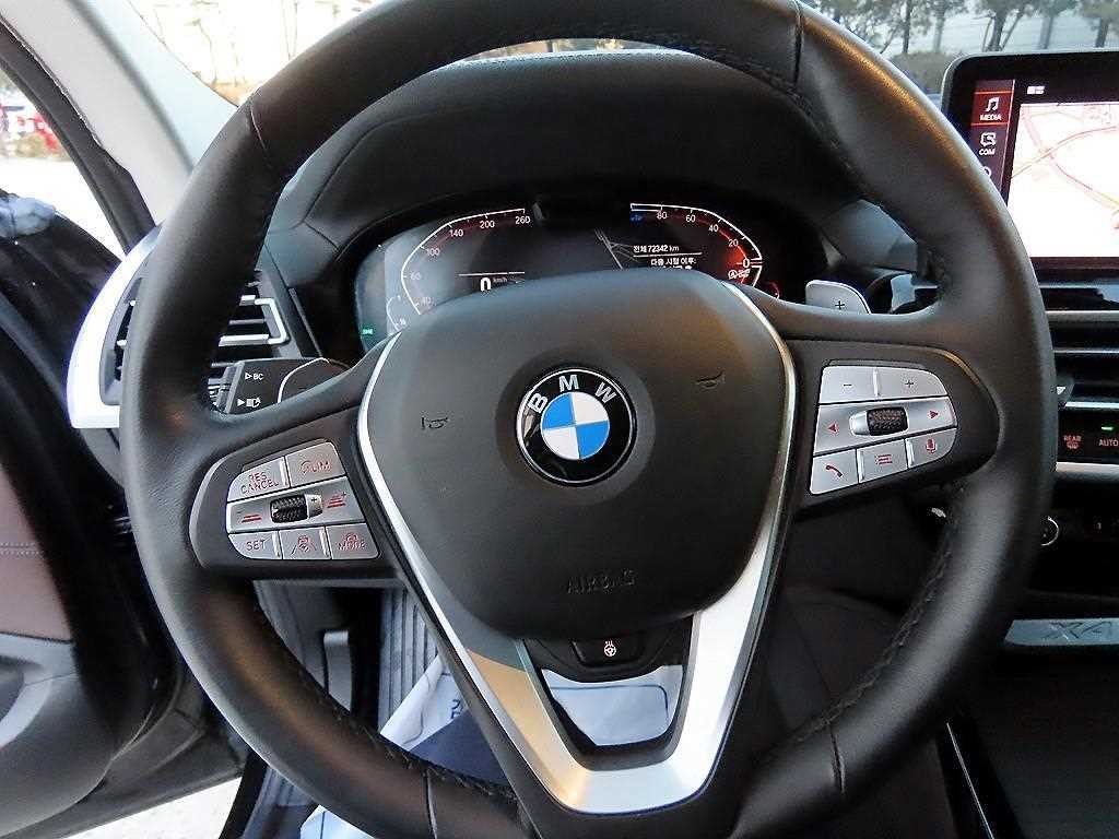 BMW X4 X4 (G02) xDrive 20d xLine 이미지 8