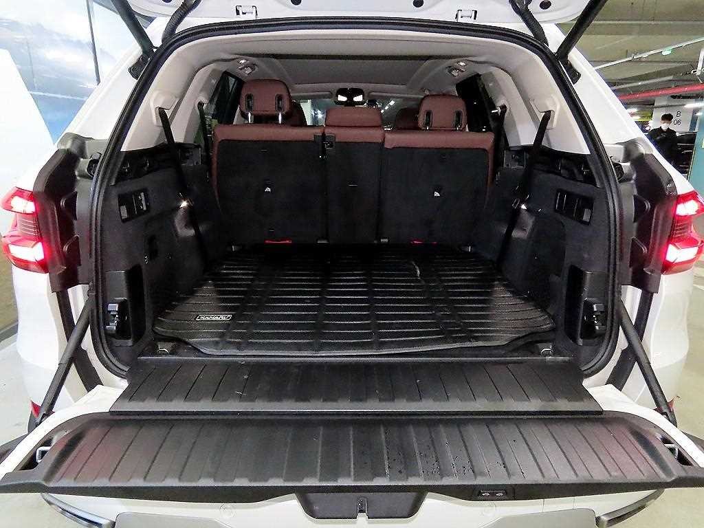 BMW X5 X5 (G05) xDrive 30d xLine 이미지 17