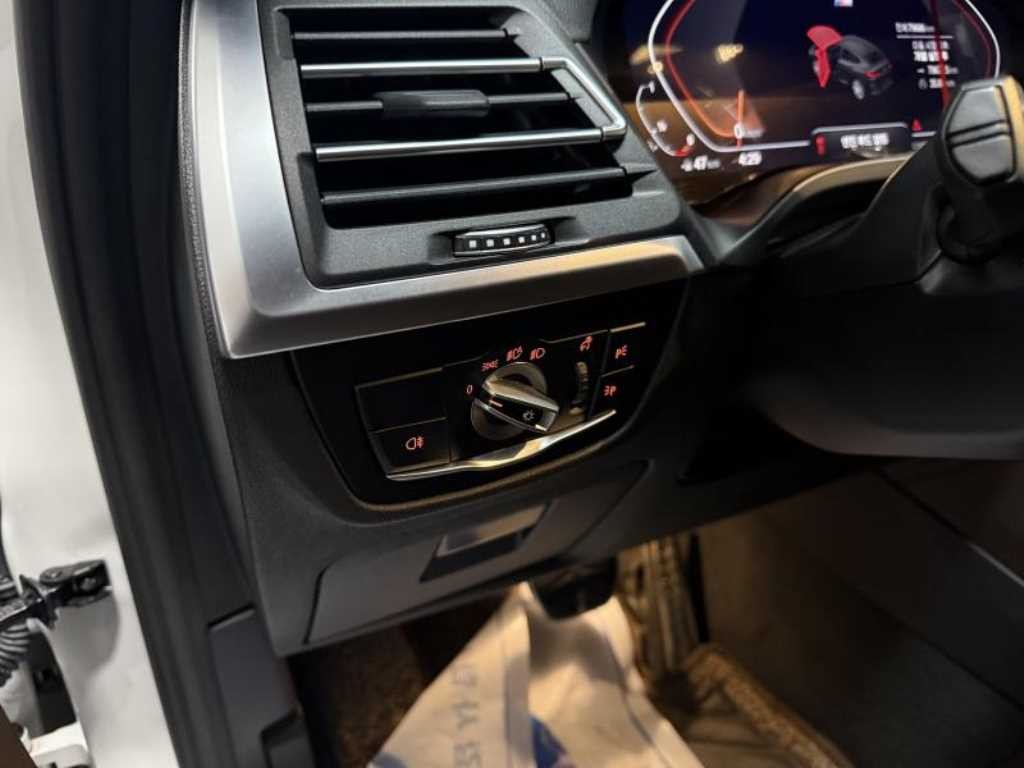 BMW X4 X4 (G02) xDrive 20i M 스포츠 이미지 19