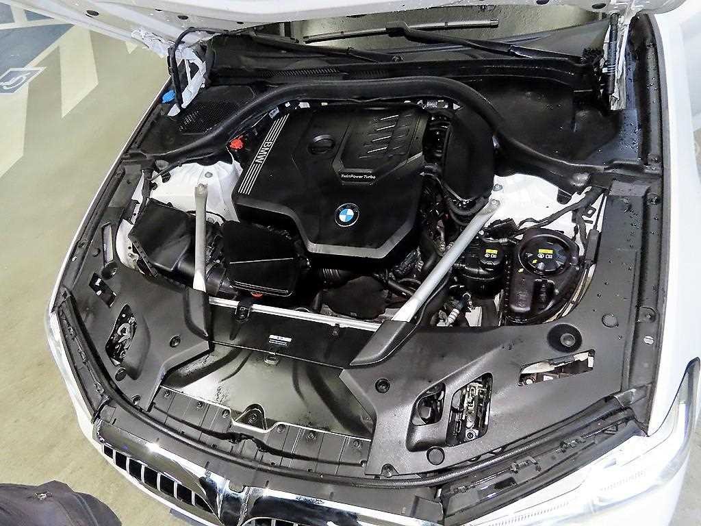 BMW 5시리즈 5시리즈 (G30) 520i M 스포츠 이미지 19