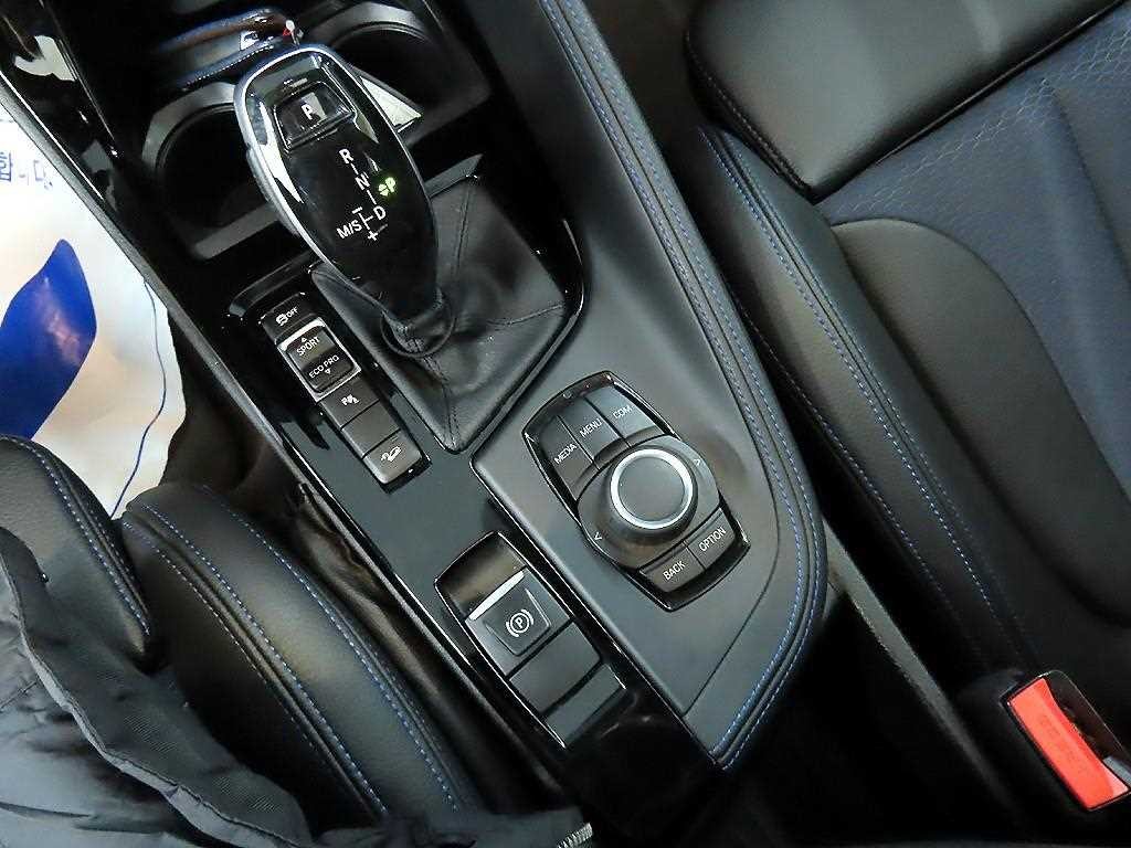 BMW X1 X1 (F48) xDrive 20i M 스포츠 이미지 10
