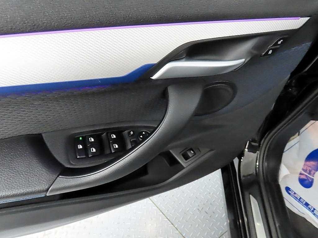 BMW X1 X1 (F48) xDrive 20i M 스포츠 이미지 11