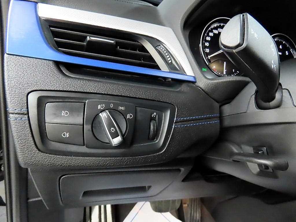 BMW X1 X1 (F48) xDrive 20i M 스포츠 이미지 12
