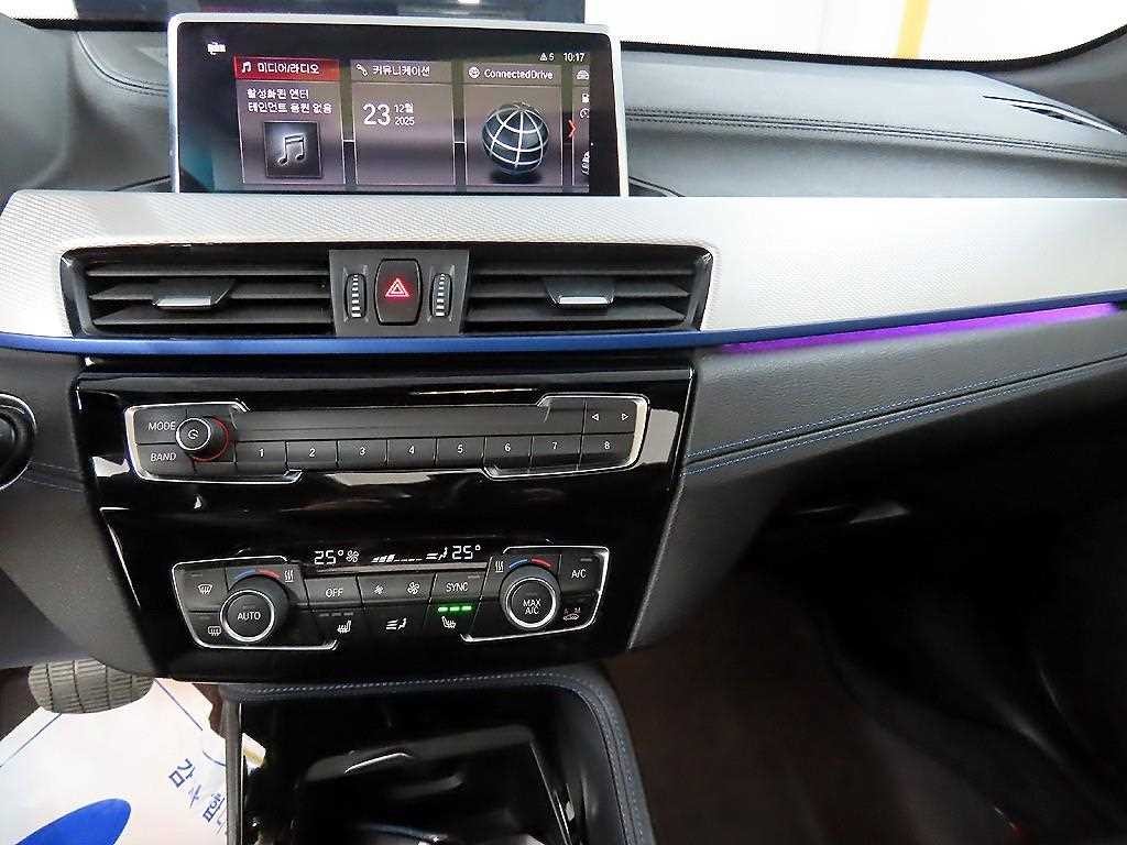 BMW X1 X1 (F48) xDrive 20i M 스포츠 이미지 13