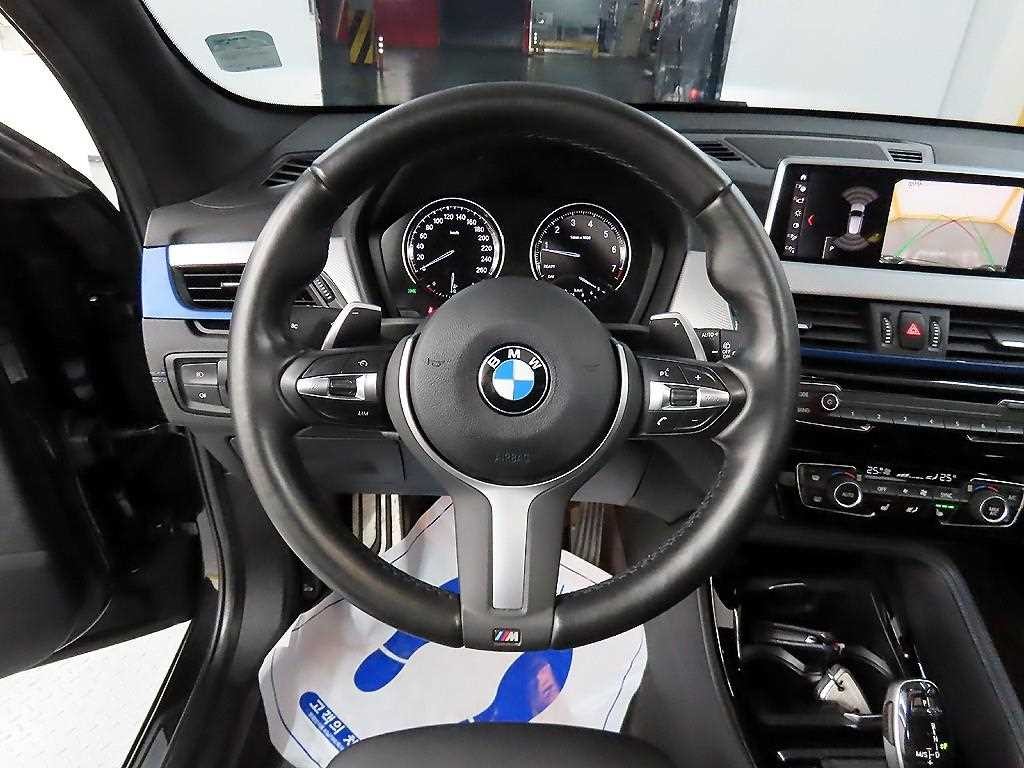 BMW X1 X1 (F48) xDrive 20i M 스포츠 이미지 9