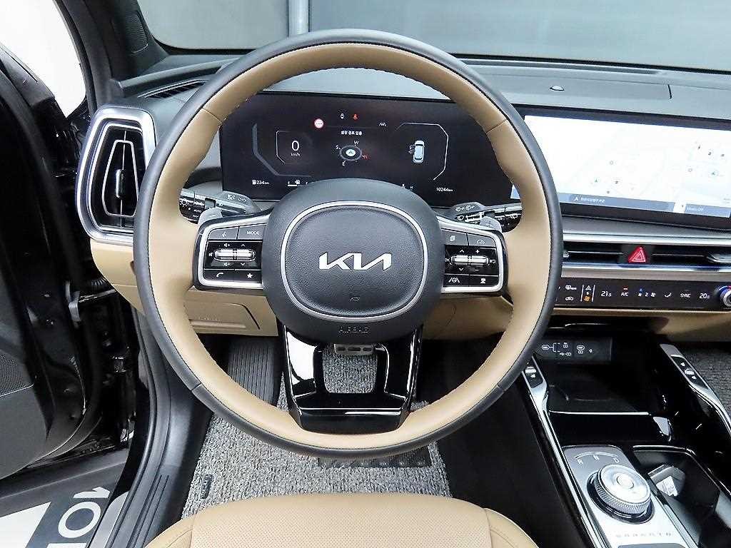 기아 쏘렌토 더 뉴 쏘렌토 4세대 가솔린 2.5T 4WD 시그니처 이미지 9