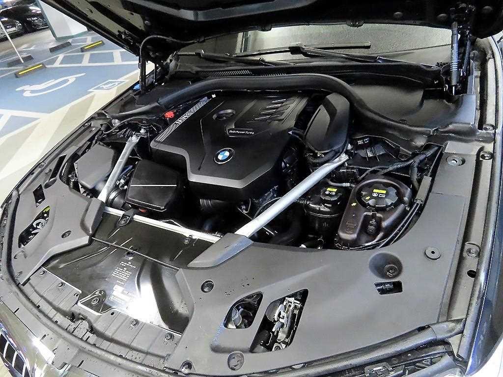 BMW 5시리즈 5시리즈 (G30) 520i M 스포츠 이미지 19
