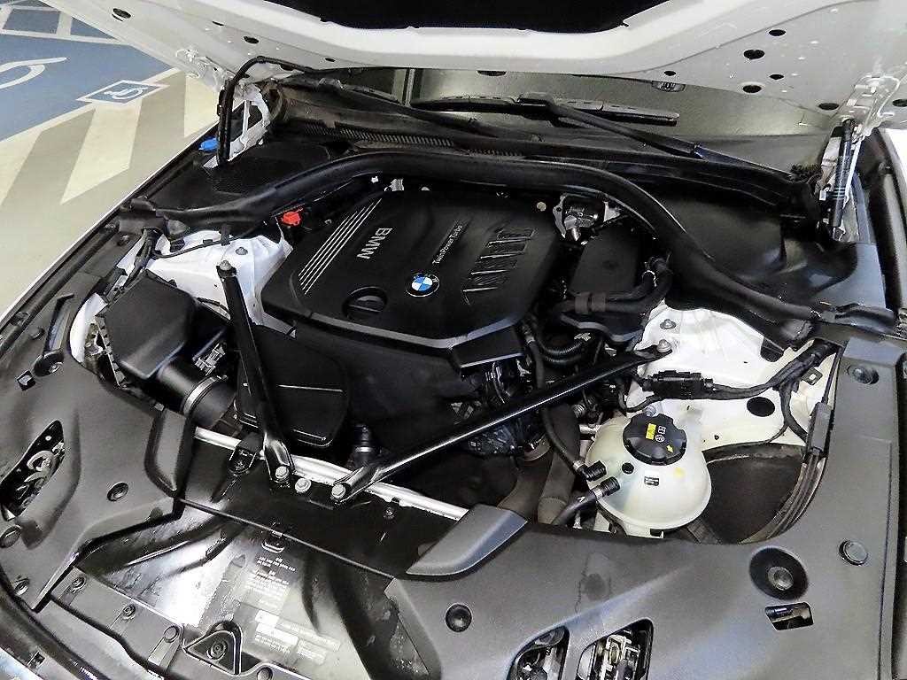 BMW 5시리즈 5시리즈 (G30) 520d M 스포츠 스페셜 에디션 이미지 19