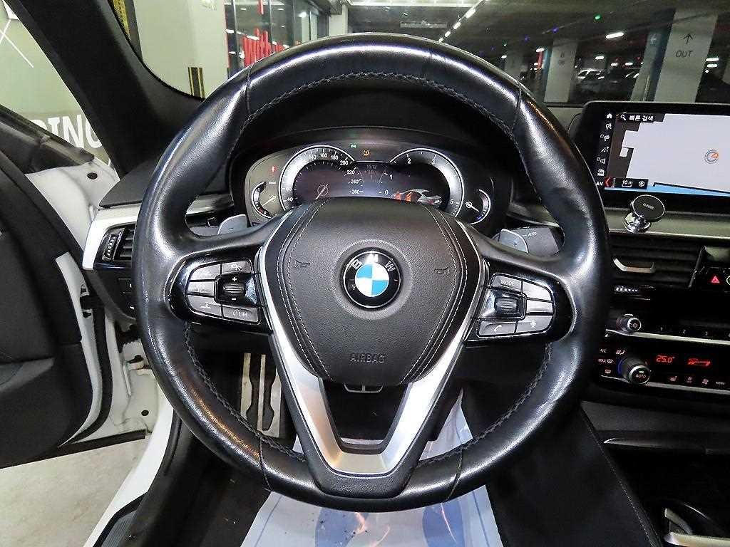 BMW 5시리즈 5시리즈 (G30) 520d M 스포츠 스페셜 에디션 이미지 8