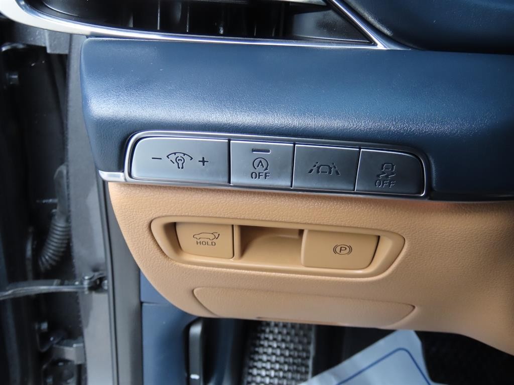 제네시스 GV80 디젤 3.0 AWD 이미지 13