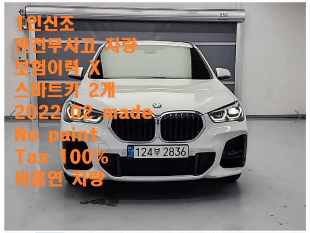 BMW X1 X1 (F48) xDrive 20i M 스포츠 이미지 1