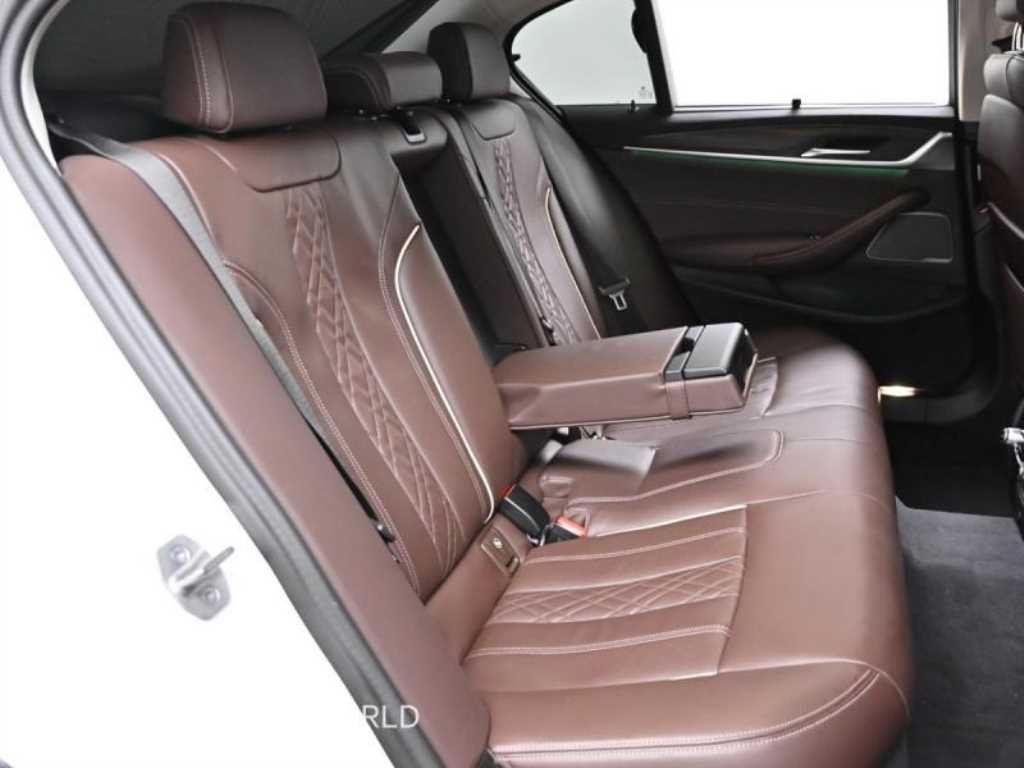 BMW 5시리즈 5시리즈 (G30) 530i 럭셔리 이미지 12