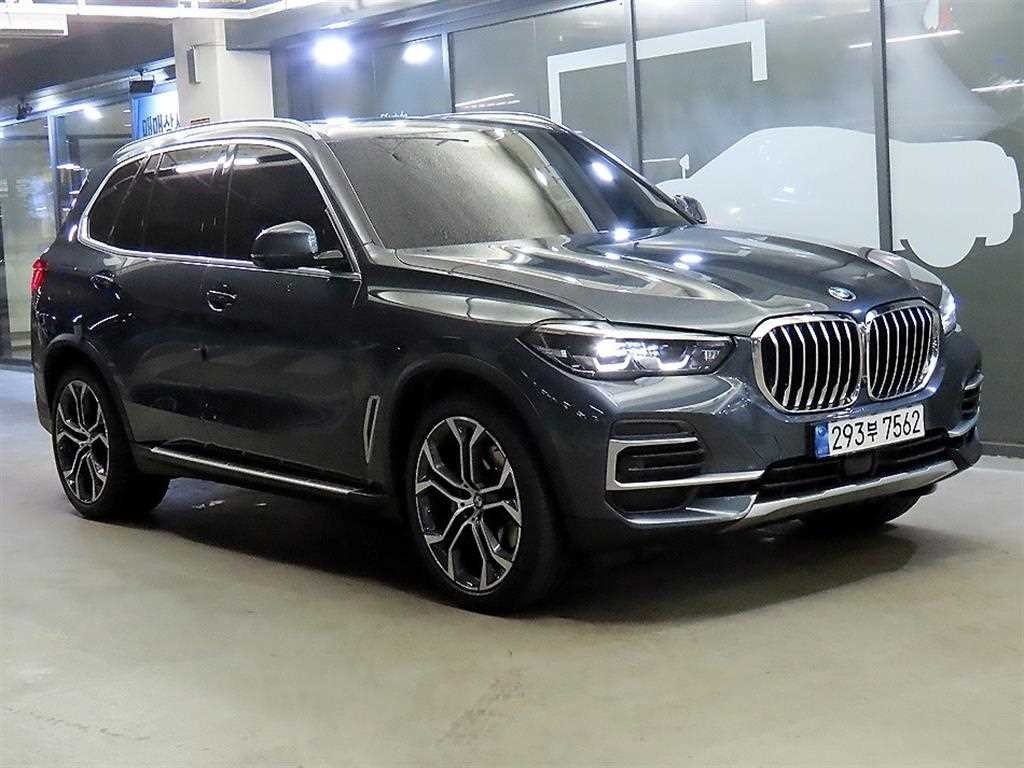 BMW X5 X5 (G05) xDrive 30d xLine 이미지 1