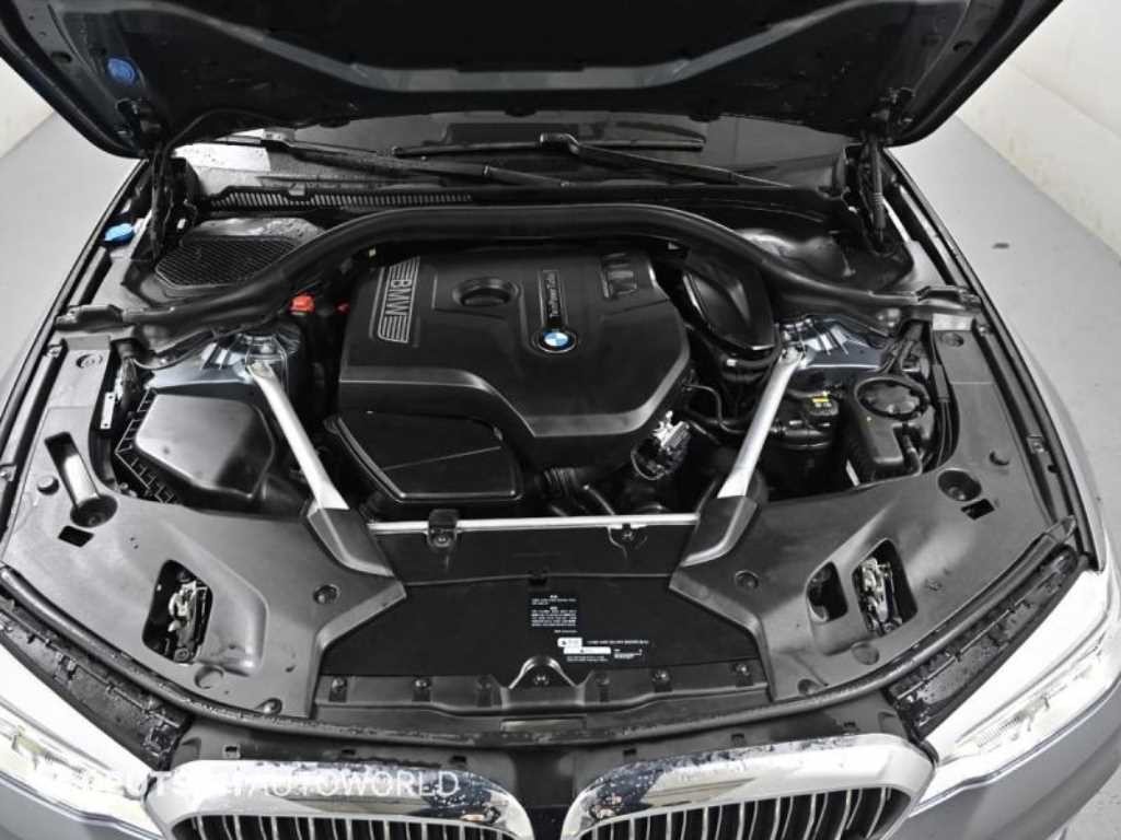 BMW 5시리즈 5시리즈 (G30) 530i 럭셔리 플러스 이미지 6