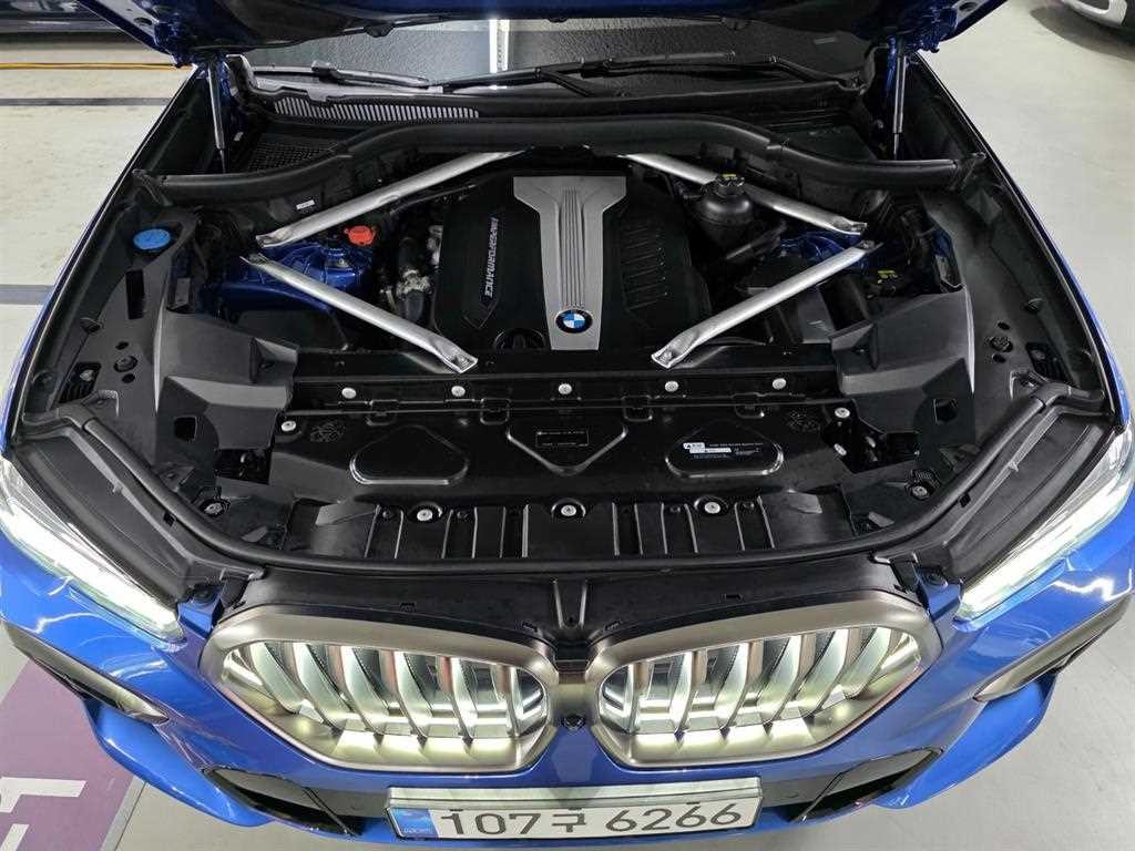 BMW X6 X6 (G06) M50d 이미지 19