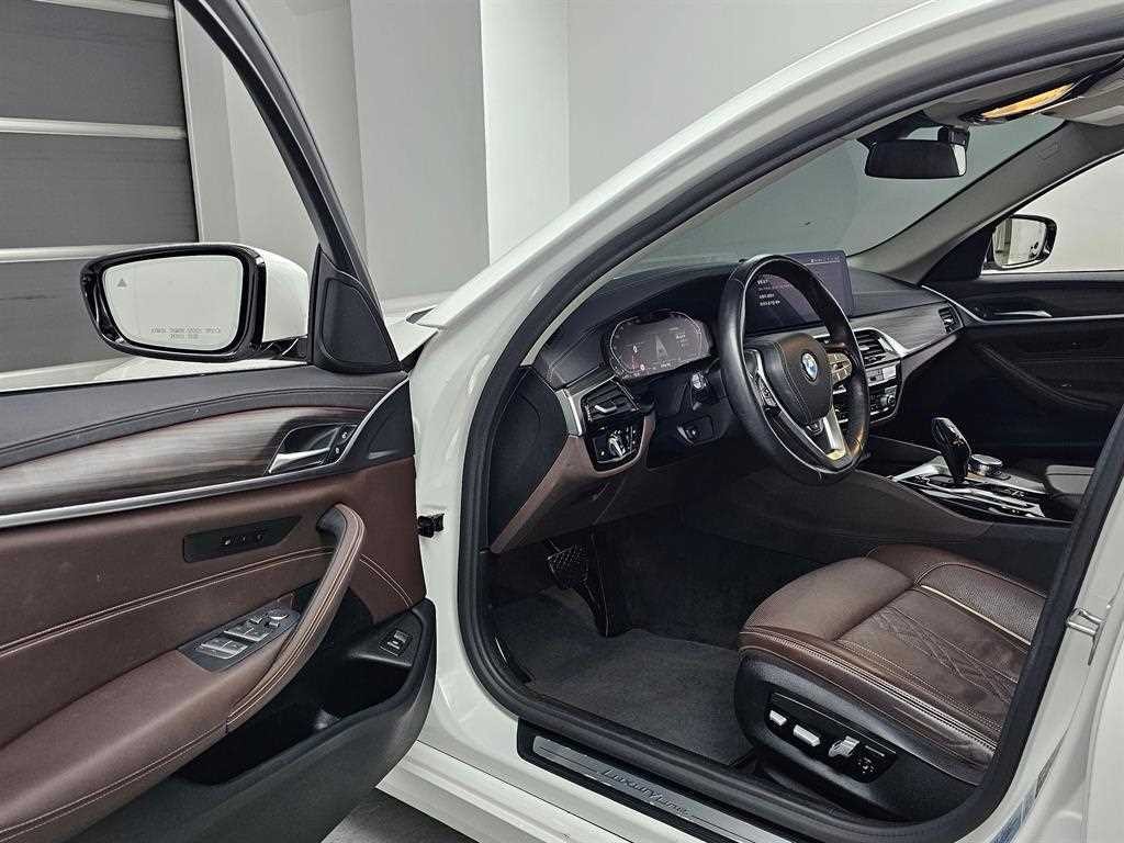 BMW 5시리즈 5시리즈 (G30) 523d xDrive 럭셔리 이미지 11
