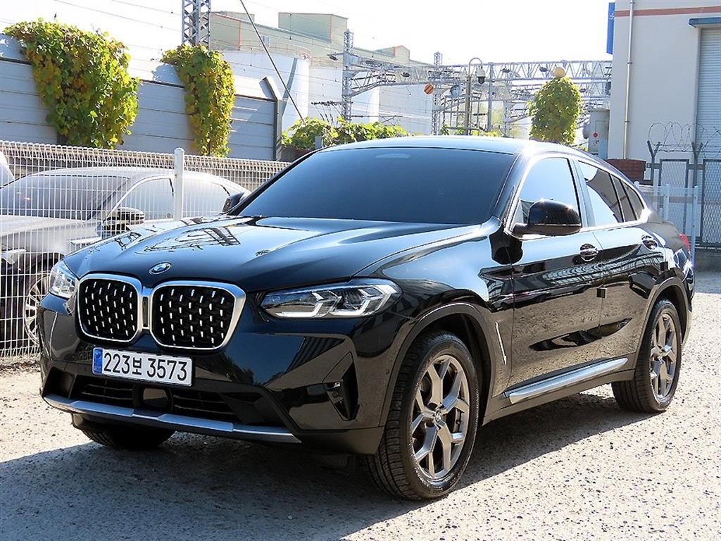 BMW X4 X4 (G02) xDrive 20d xLine 이미지 2