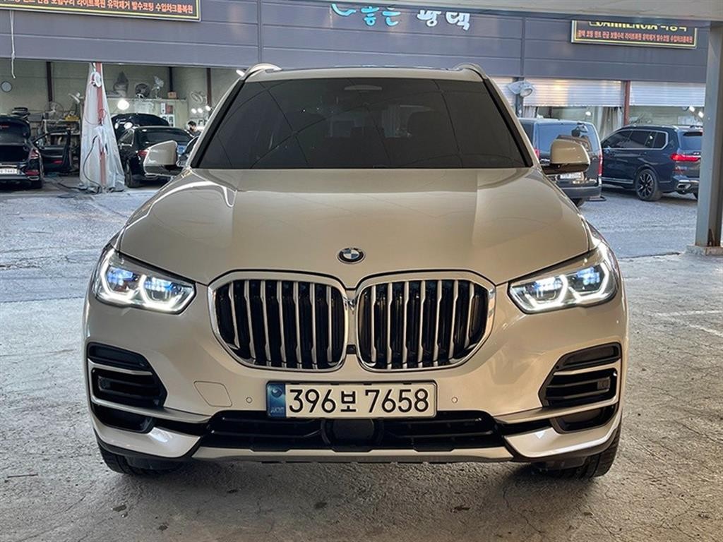 BMW X5 X5 (G05) xDrive 40i xLine 이미지 1