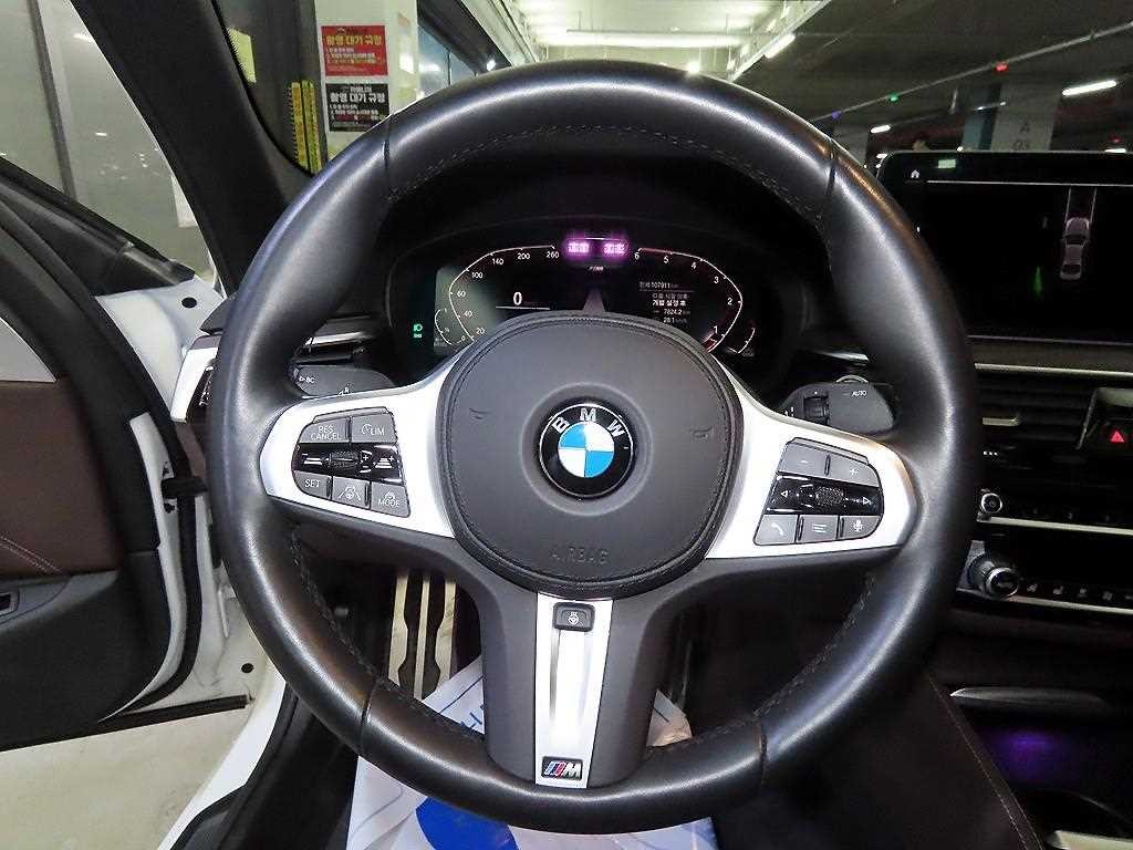 BMW 5시리즈 5시리즈 (G30) 523d M 스포츠 이미지 8