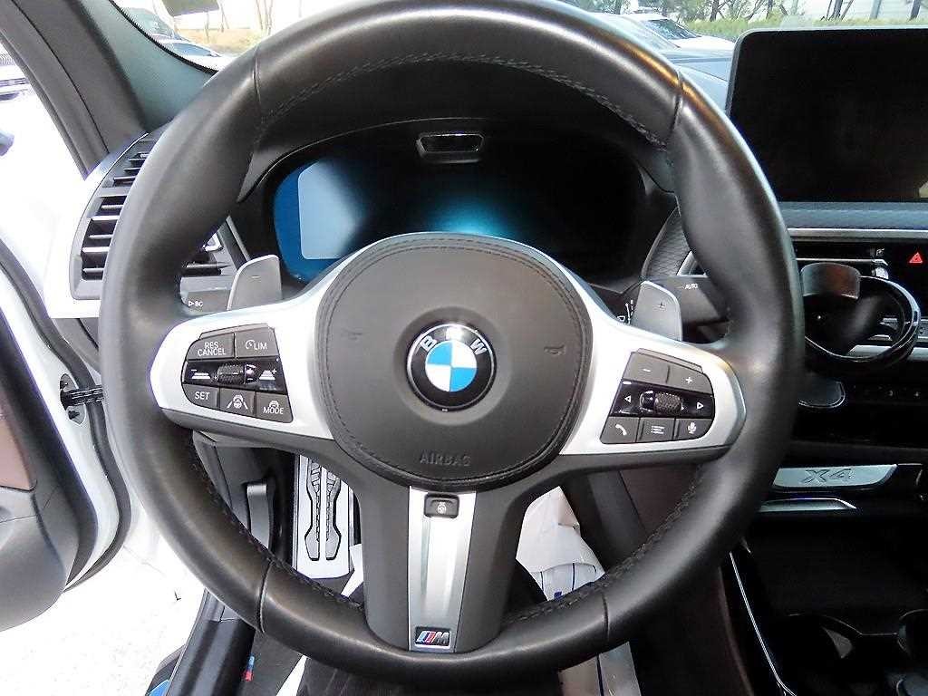 BMW X4 X4 (G02) xDrive 20i M 스포츠 이미지 8
