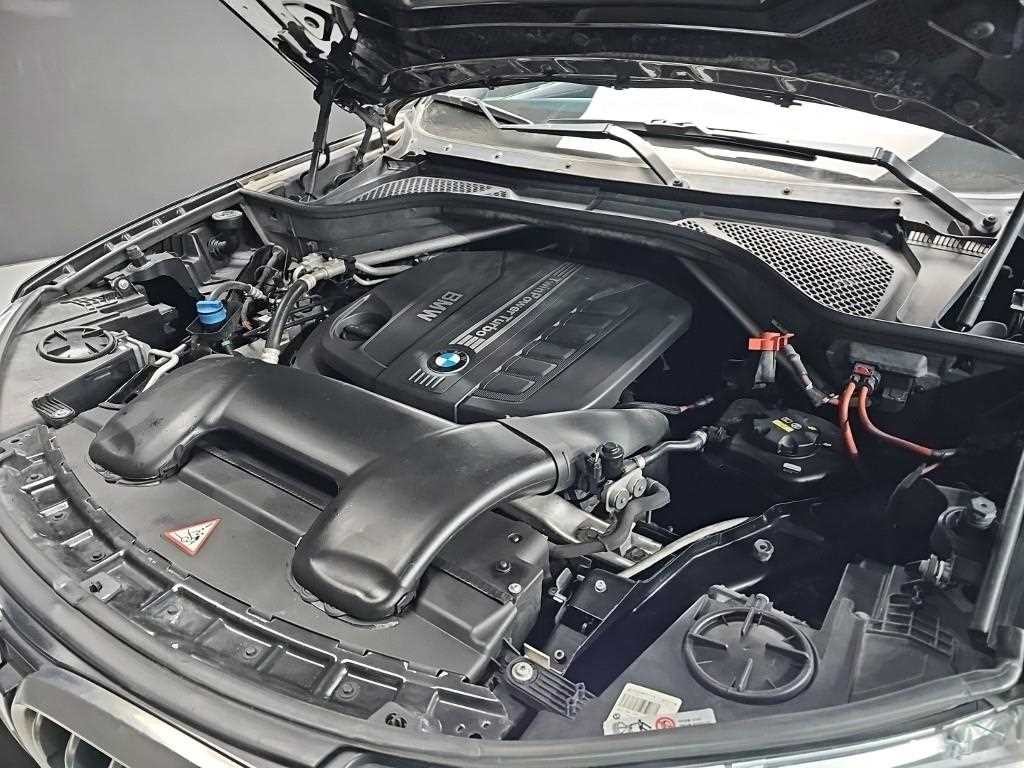 BMW X6 X6 (F16) xDrive 40d 이미지 6