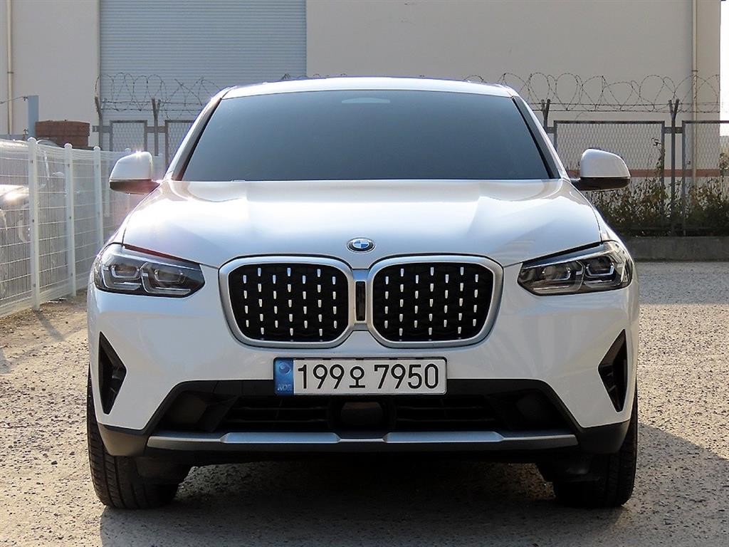 BMW X4 X4 (G02) xDrive 20i xLine 이미지 1