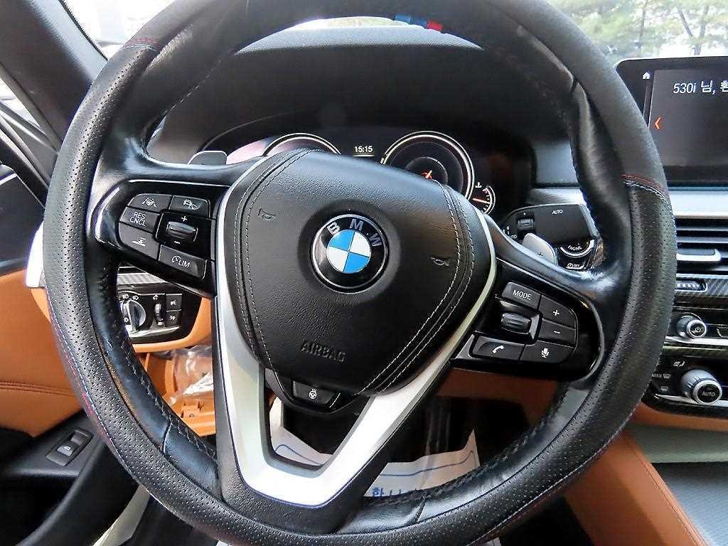 BMW 5시리즈 5시리즈 (G30) 530i M 스포츠 이미지 8