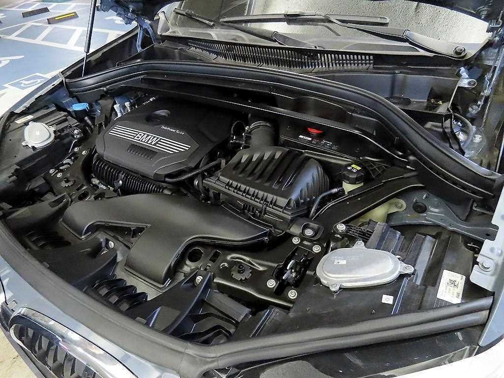 BMW X1 X1 (F48) xDrive 20i M 스포츠 이미지 19