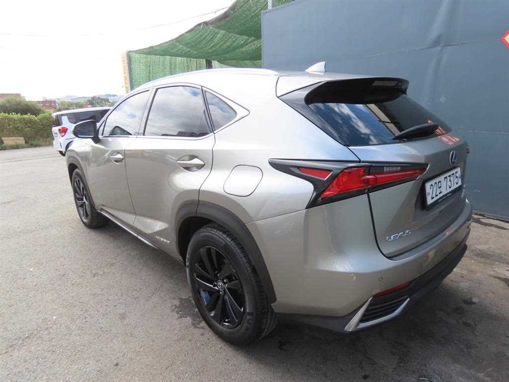 렉서스 NX NX 300h 이그제큐티브 이미지 3