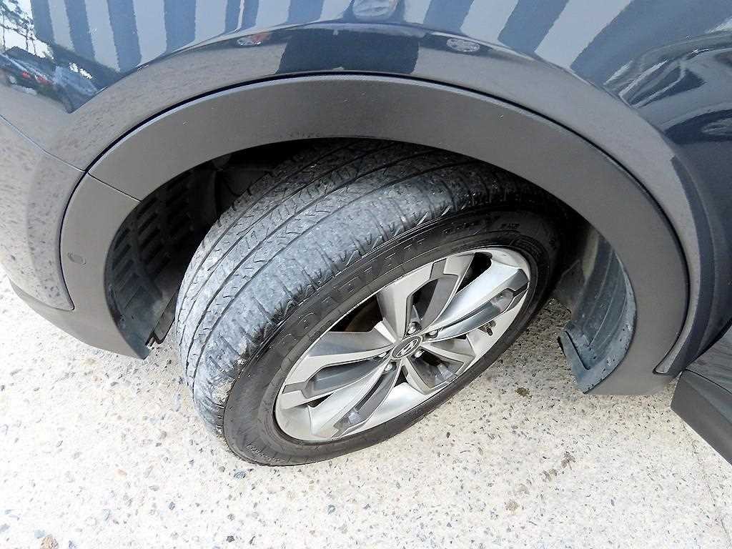 현대 맥스크루즈 R2.2 2WD 익스클루시브 스페셜 이미지 20