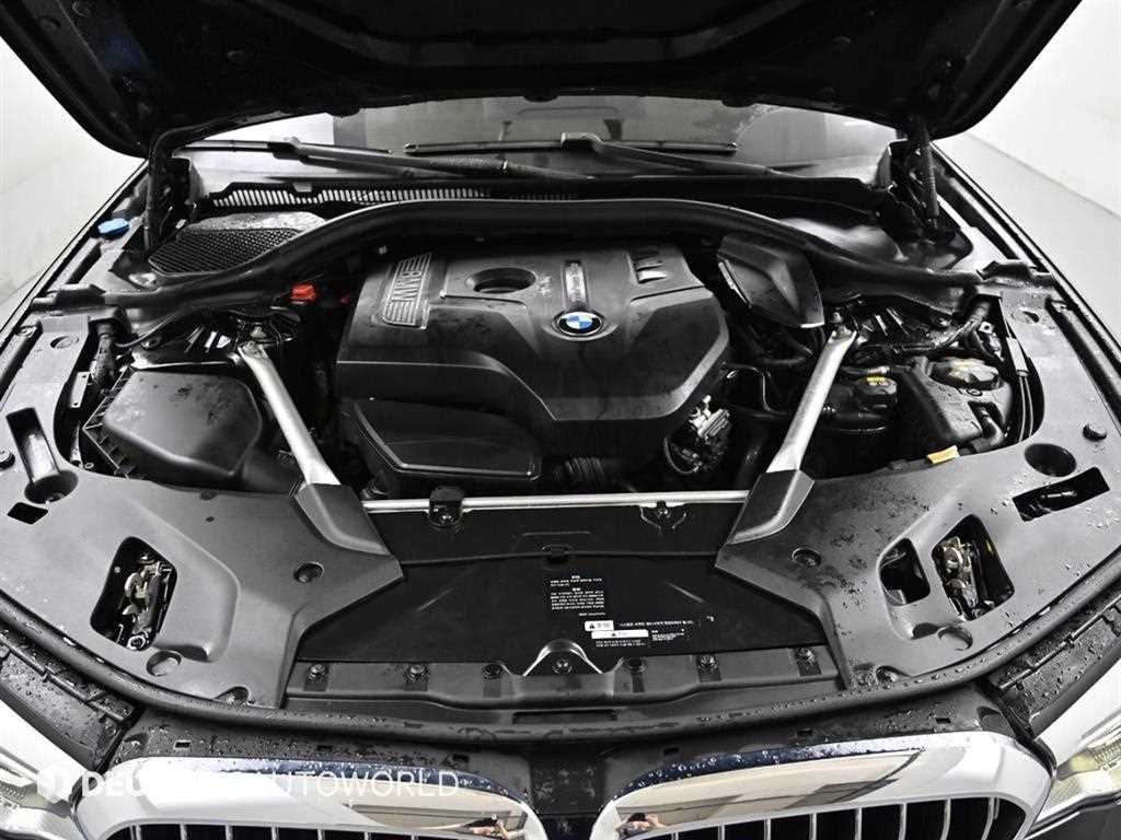 BMW 5시리즈 5시리즈 (G30) 530i 럭셔리 플러스 이미지 4
