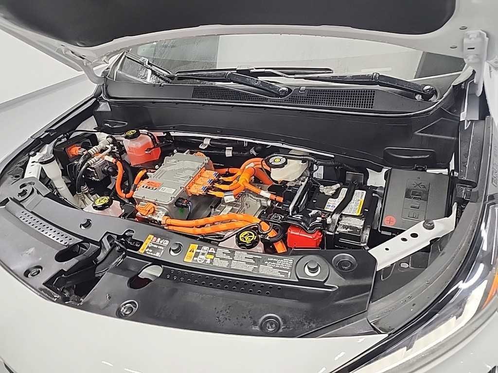 쉐보레 볼트 볼트EUV(2021~) EV 레드라인 이미지 5