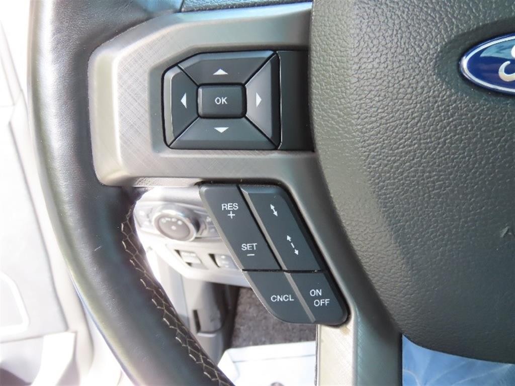 포드 F-Series F150 3.5L 이미지 10