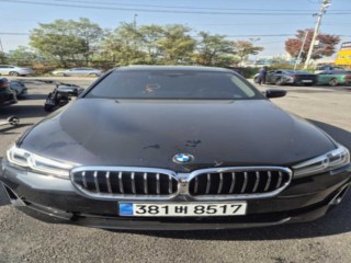 BMW 5시리즈 5시리즈 (G30) 520i 럭셔리