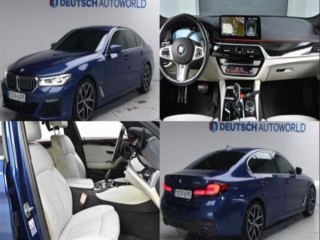 BMW 5시리즈 5시리즈 (G30) 530i M 스포츠