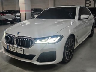 BMW 5시리즈 5시리즈 (G30) 530i M 스포츠