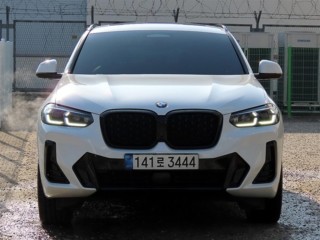 BMW X4 X4 (G02) xDrive 20i M 스포츠 X